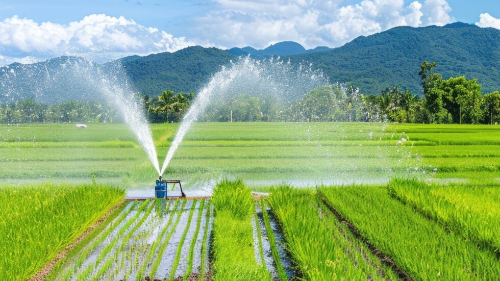 understanding agricultural irrigation pumps 980x551